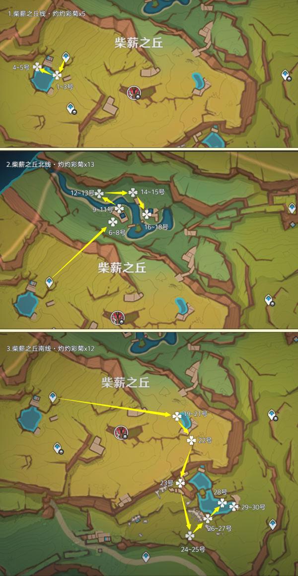 原神灼灼彩菊采集路线图大全 原神灼灼彩菊采集路线图大全