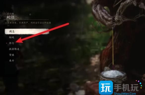黑神话悟空铁中血怎么用 黑神话悟空铁中血怎么用