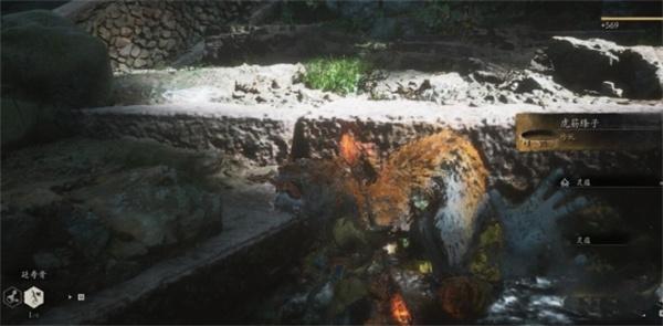 黑神话悟空虎筋条子位置一览2 黑神话悟空虎筋条子位置一览2
