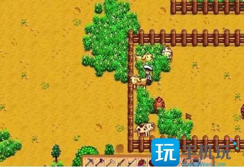 星露谷物语大壶牛奶获得方法图3 星露谷物语大壶牛奶获得方法图3