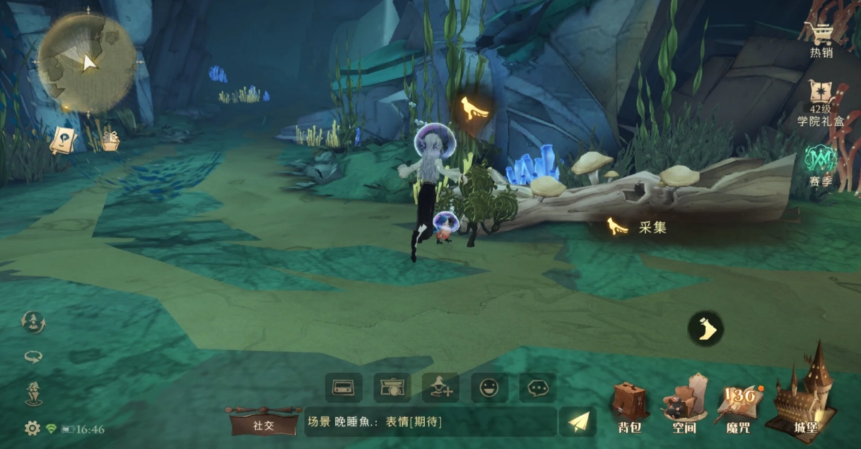 哈利波特魔法觉醒水陆植物怎么采集 哈利波特魔法觉醒水陆植物怎么采集