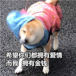 2020七夕单身狗表情包