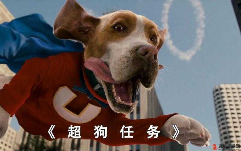 轻度自调任务 60 条狗：关于它们的详细情况与深入探讨
