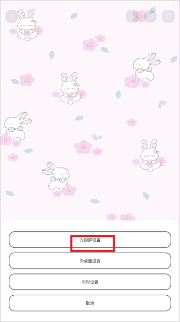 XY手游2026最新版本