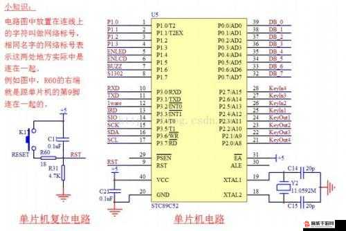 非匿名指令中传导作用的详细机制与效果全面介绍