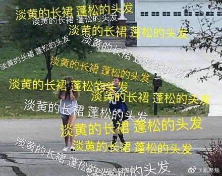 淡黄的长裙蓬松的头发什么梗 淡黄的长裙蓬松的头发什么梗
