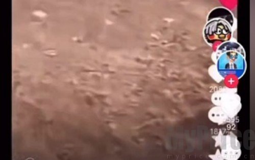 包浆视频是什么意思 包浆视频来源出处介绍