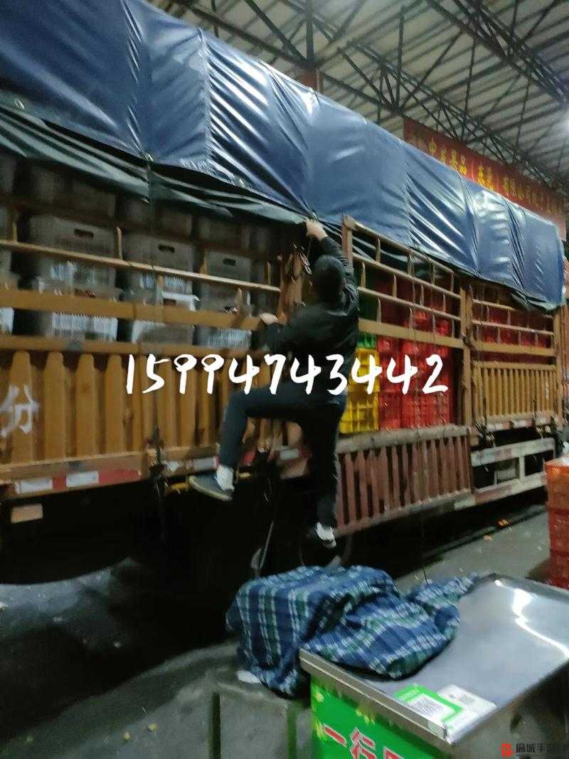 大多数水果机怎么赚钱，探索水果机的盈利之道