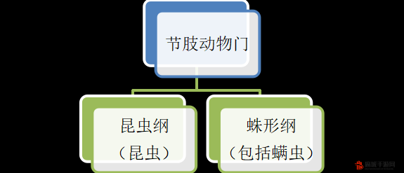 探究 yw193coc 龙物永不联的起源与发展：揭示其背后的故事