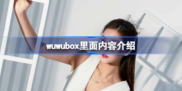 wuwubox里面内容介绍-wuwubox里面有什么内容