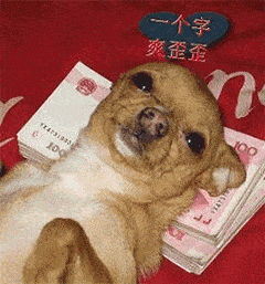 豹狗狗表情包GIF大放送，萌趣表情带你领略无限欢乐与趣味