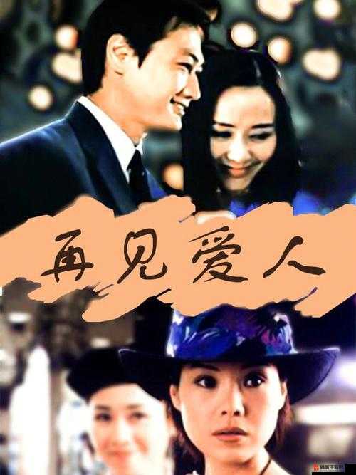 再见爱人2第二期深度解析，情感纠葛中的婚姻反思与心灵治愈之旅