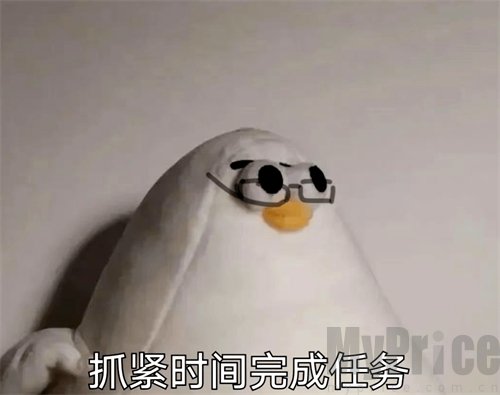 马兆海鸥是什么意思 马兆海鸥梗意思介绍