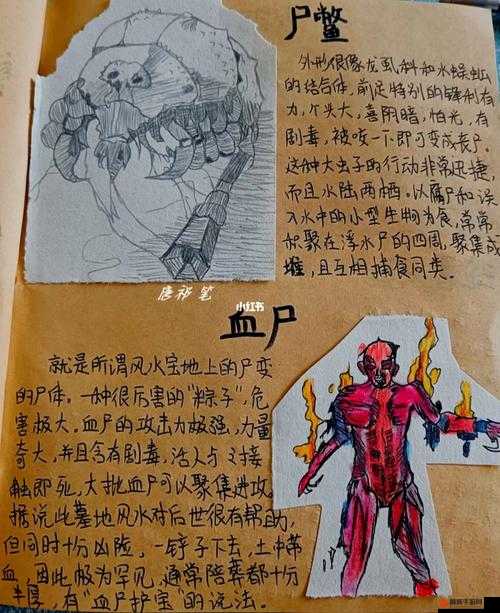 镇邪神秘香囊获取全攻略，深入血尸之地，揭秘宝藏寻觅之道