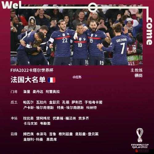 2022卡塔尔世界杯法国队大名单及阵容深度解析与前瞻