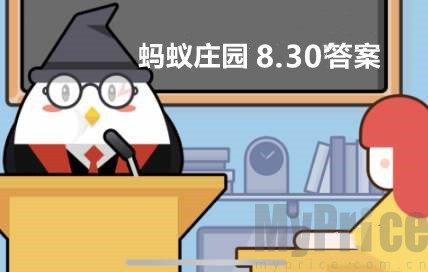 以下哪种级别的橄榄油营养价值更高 蚂蚁庄园8月30日答案