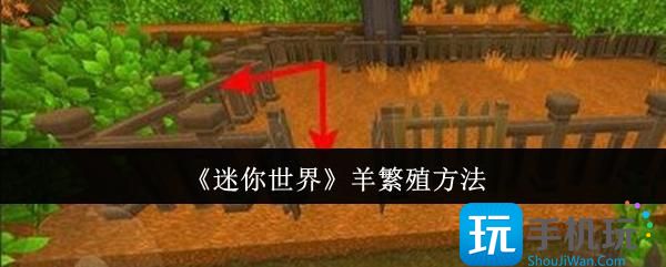 迷你世界羊怎么繁殖-羊繁殖方法