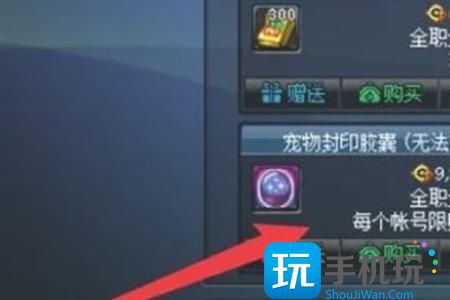 《地下城与勇士:起源》宠物封印胶囊使用方法 《地下城与勇士:起源》宠物封印胶囊使用方法