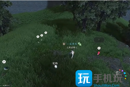 《逆水寒手游》育宠图鉴快速升级方法一览 《逆水寒手游》育宠图鉴快速升级方法一览