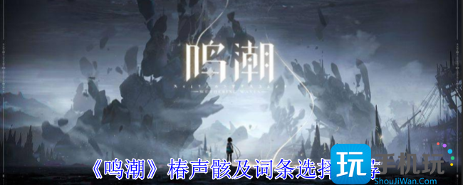 鸣潮椿声骸怎么选择-椿声骸词条选择攻略
