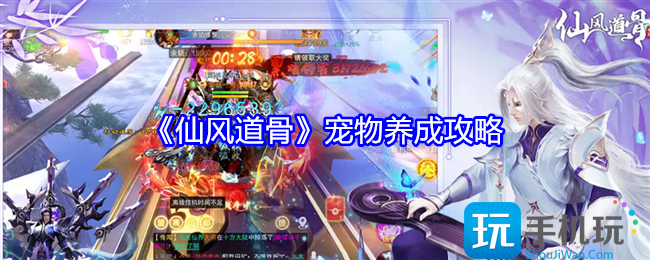 仙风道骨宠物怎么养成-宠物养成攻略