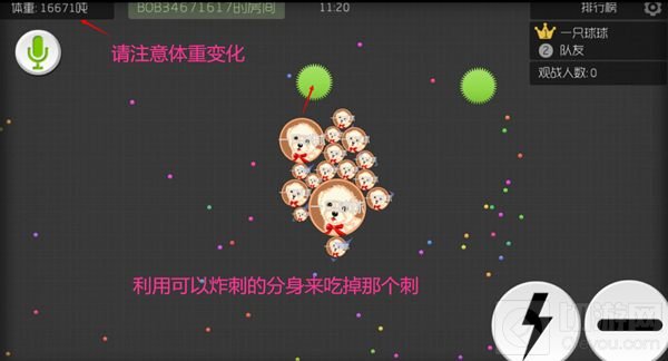 球球大作战16分身炸刺使用技巧 炸刺图文攻略