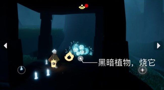 光遇8月3号每日任务玩法 2022光遇最新任务攻略[多图]图片4