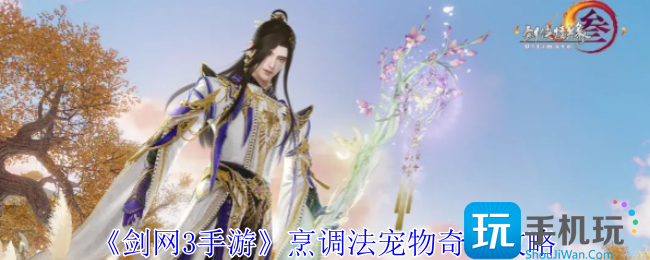 剑网3手游烹调法宠物奇遇怎么做-烹调法宠物奇遇攻略