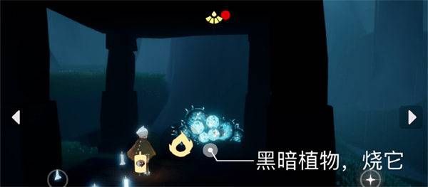 光遇8.19每日任务攻略 光遇8月19号任务玩法介绍[多图]图片3