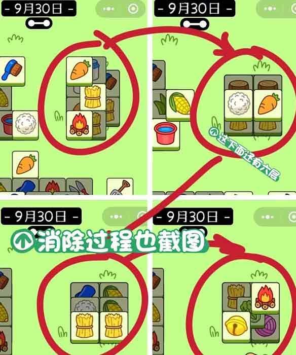 羊了个羊9.30关卡每日一关怎么过 羊了个羊9.30关卡通关攻略[多图]图片3