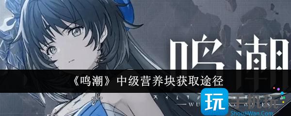 鸣潮中级营养块怎么获取-中级营养块获取途径